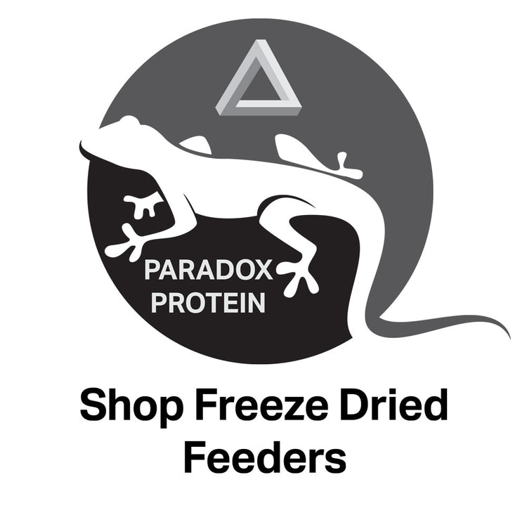 Paradox Protein