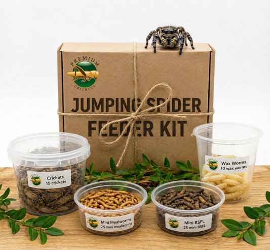 Jumping Spider Feeder Variety Kit